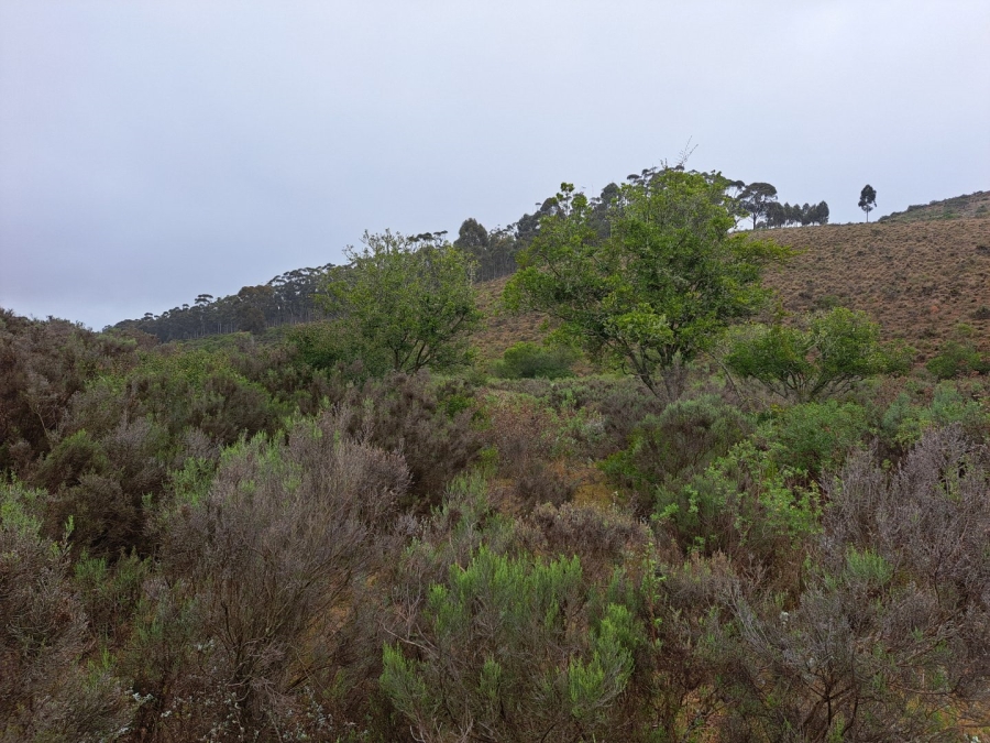 17 Bedroom Property for Sale in Riversdale Rural Western Cape